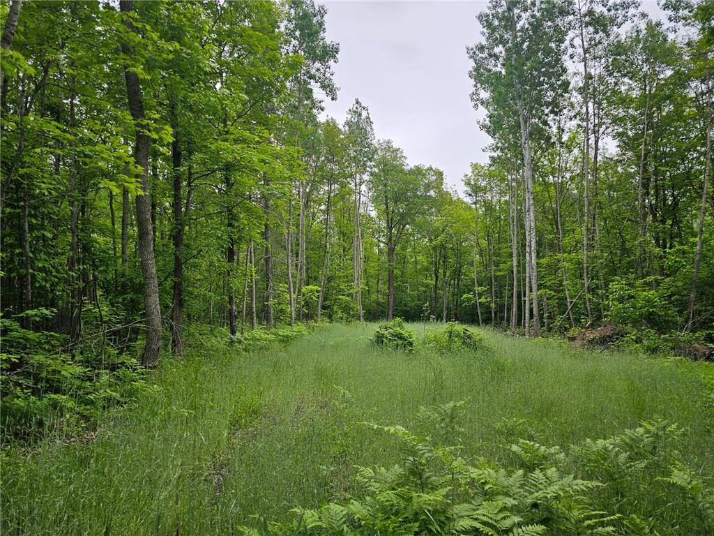 0000 280th Place Glen Twp MN 56431 6729332 image1