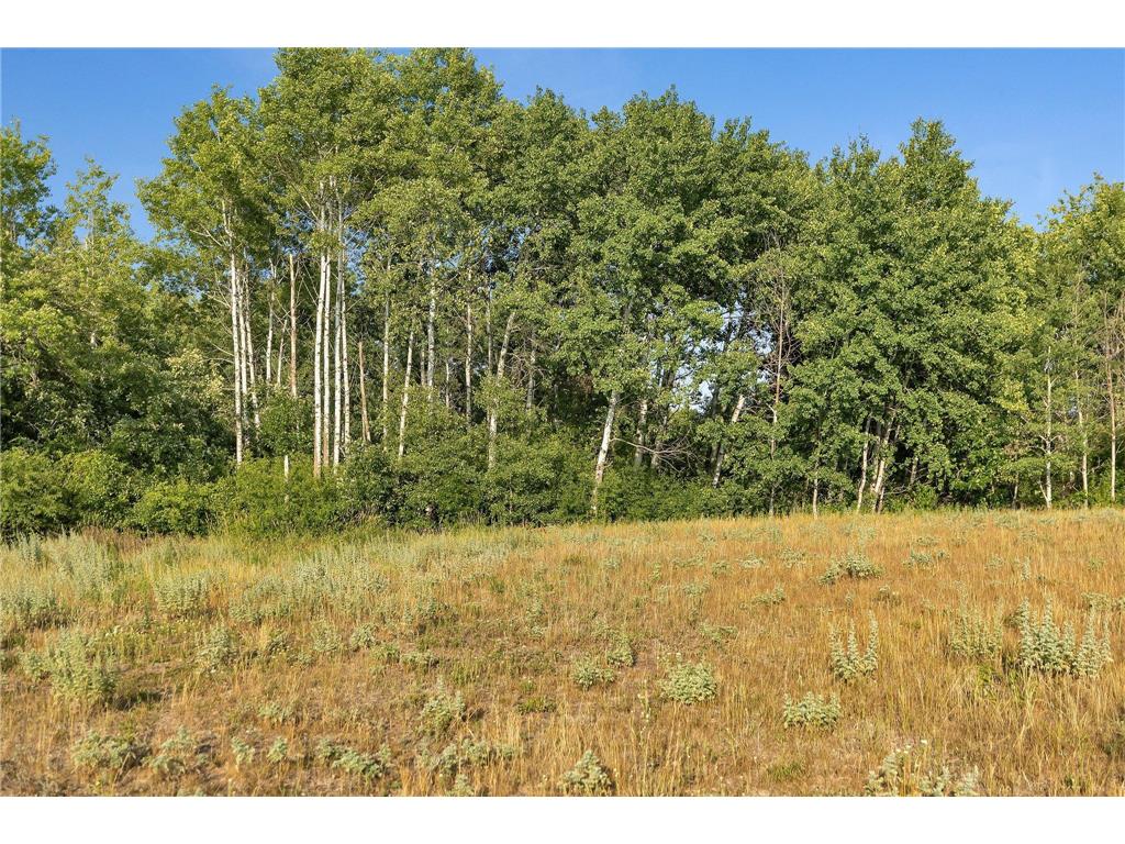 0000 40th Avenue S Saint Cloud MN 56301 7019369 image18