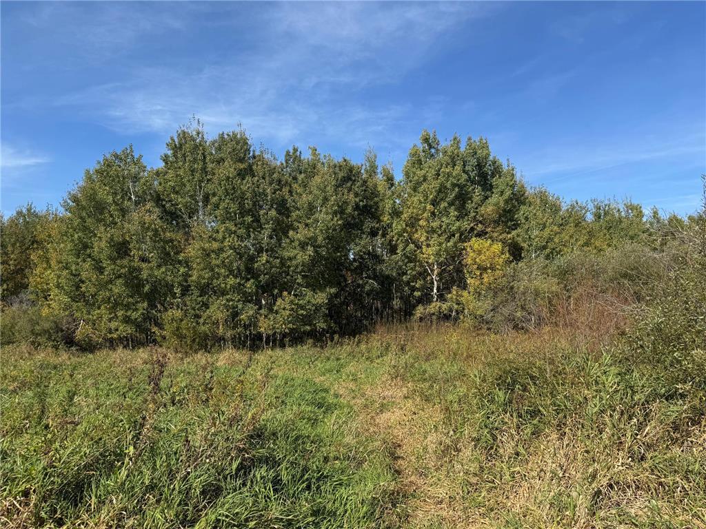 0000 460th Lane Palisade MN 56469 6801006 image10