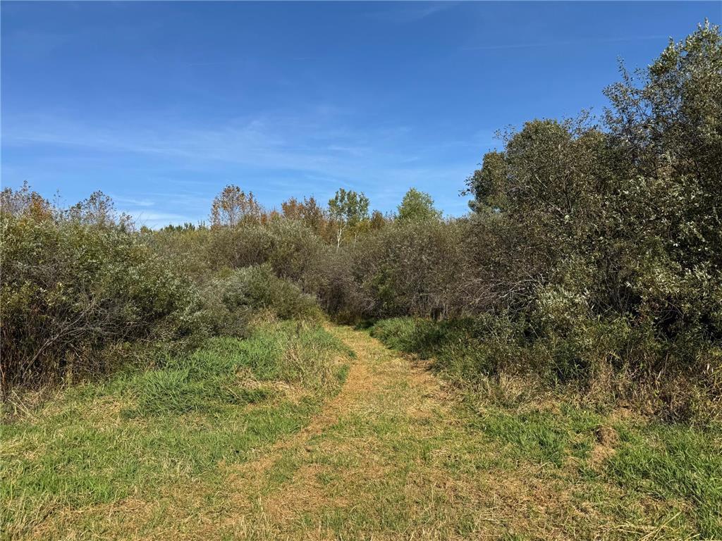 0000 460th Lane Palisade MN 56469 6801006 image12