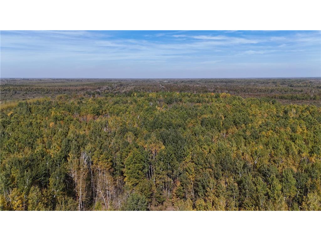 0000 460th Lane Palisade MN 56469 6801006 image13