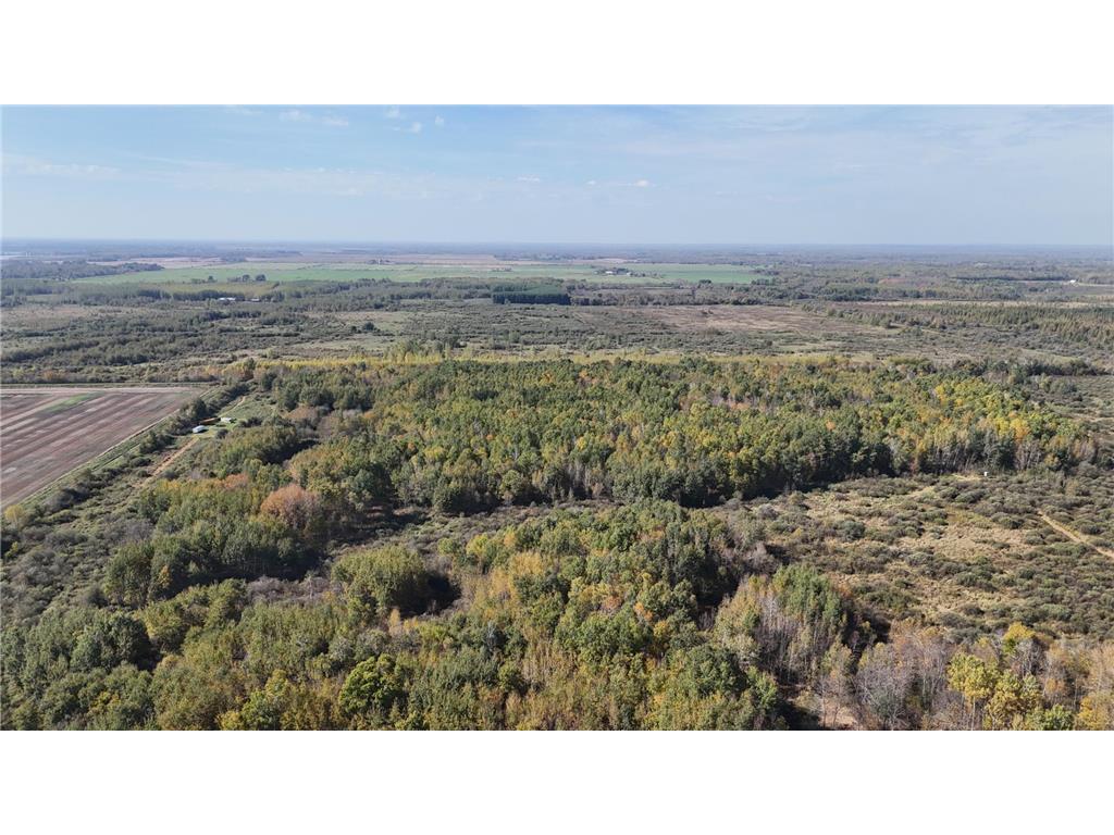 0000 460th Lane Palisade MN 56469 6801006 image15
