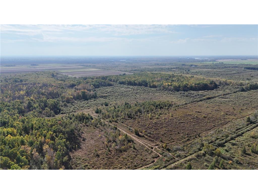 0000 460th Lane Palisade MN 56469 6801006 image18