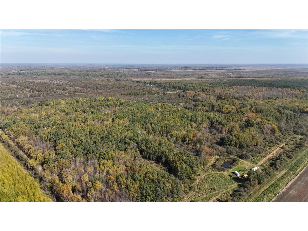 0000 460th Lane Palisade MN 56469 6801006 image19