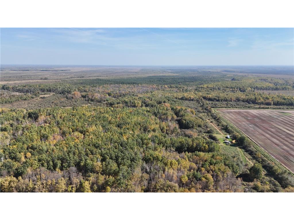 0000 460th Lane Palisade MN 56469 6801006 image2