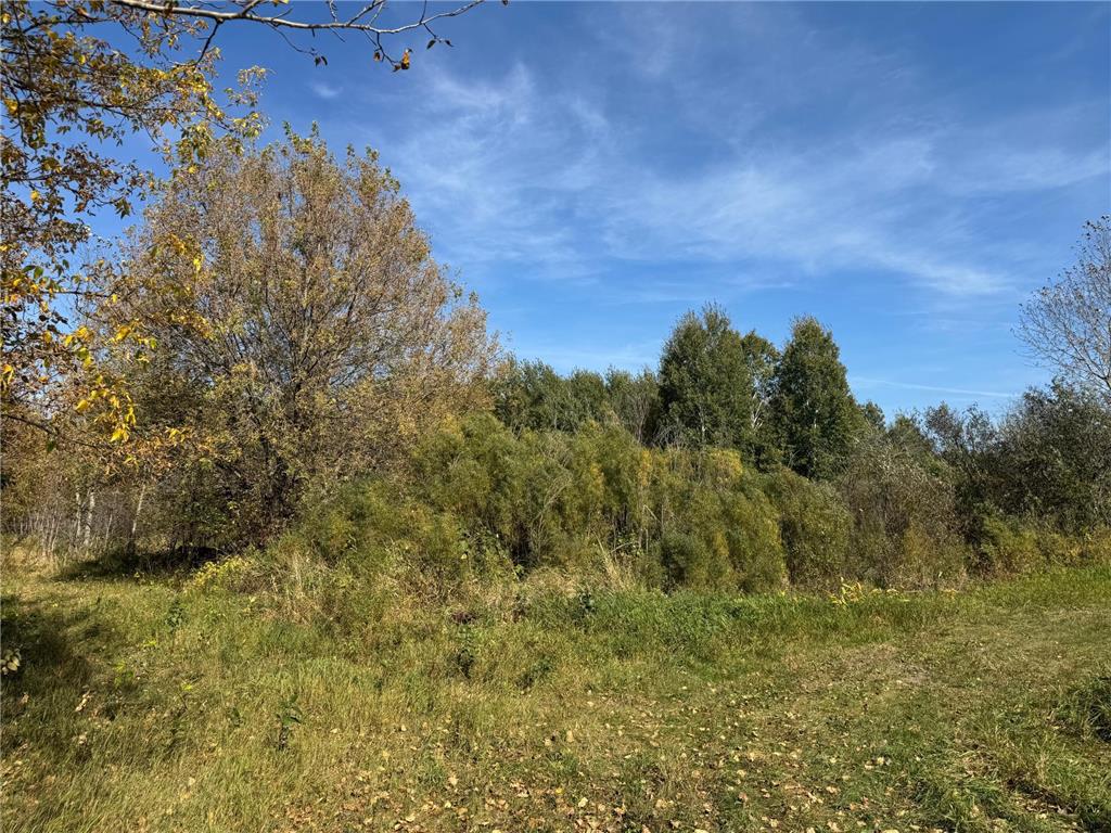 0000 460th Lane Palisade MN 56469 6801006 image20