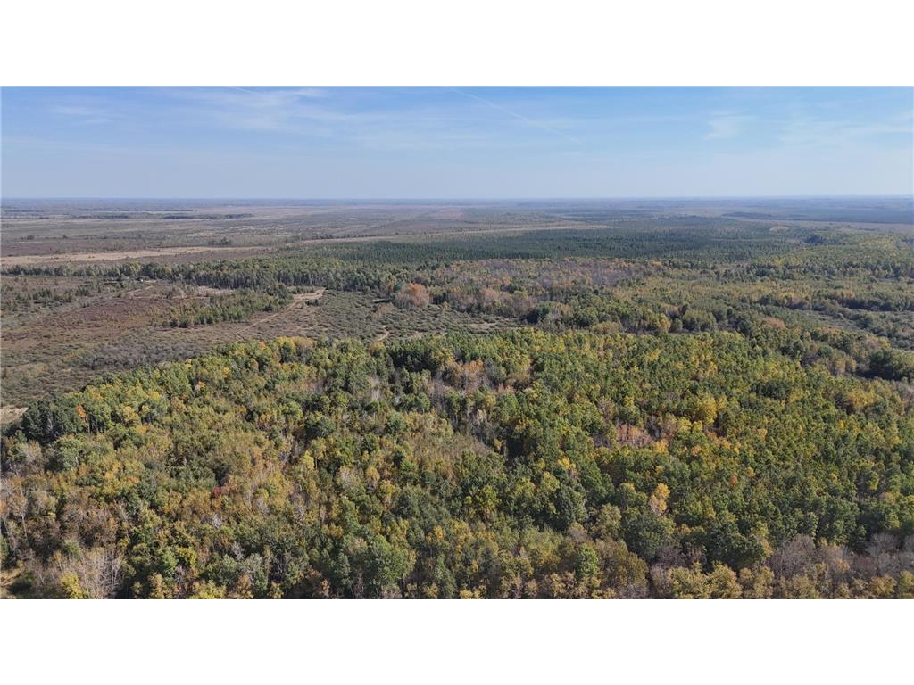 0000 460th Lane Palisade MN 56469 6801006 image21