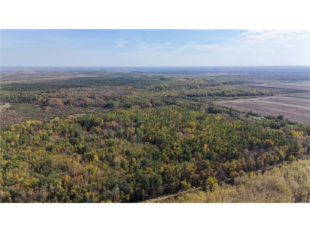0000 460th Lane Palisade MN 56469 6801006 image22