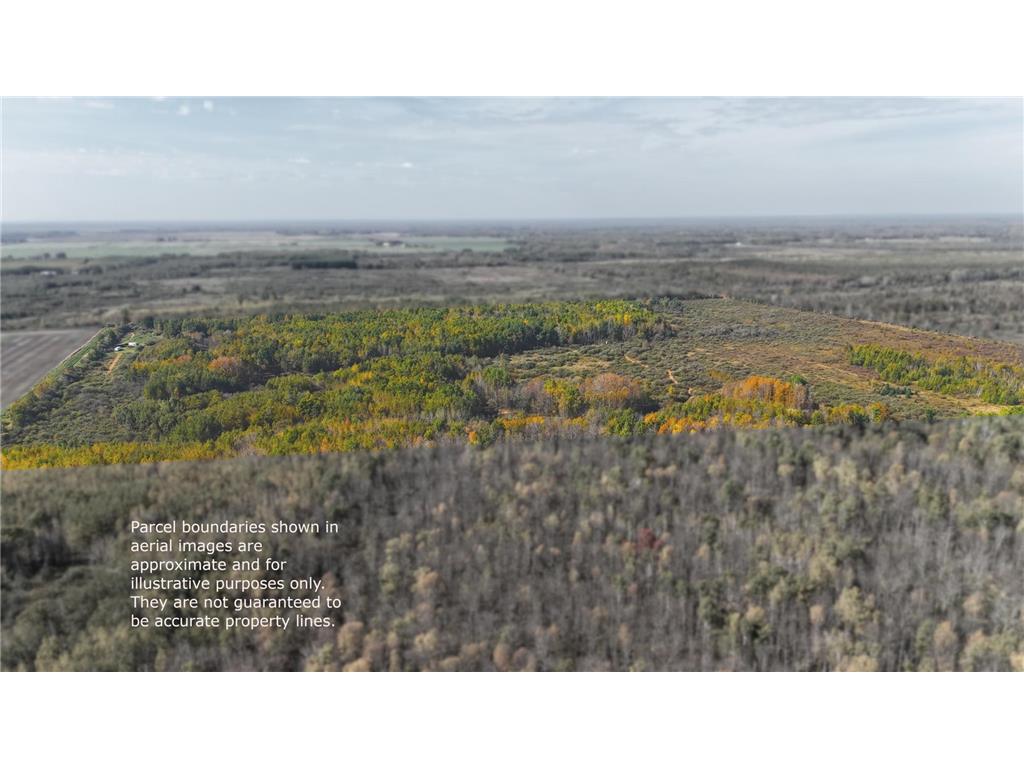 0000 460th Lane Palisade MN 56469 6801006 image25