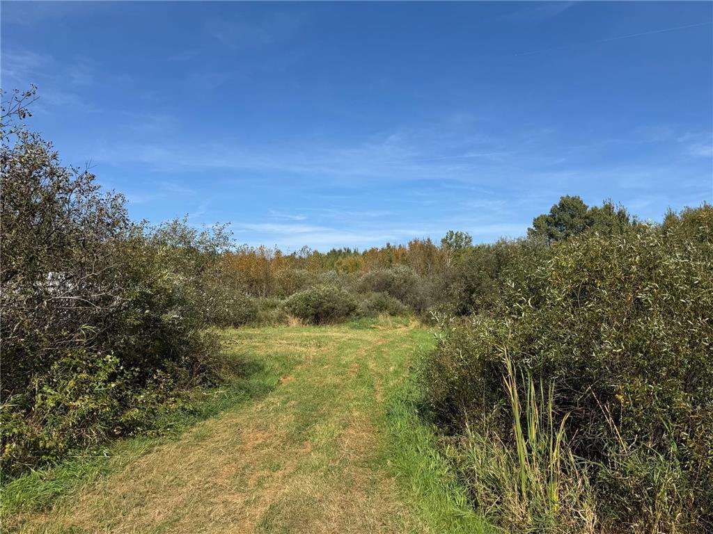 0000 460th Lane Palisade MN 56469 6801006 image4