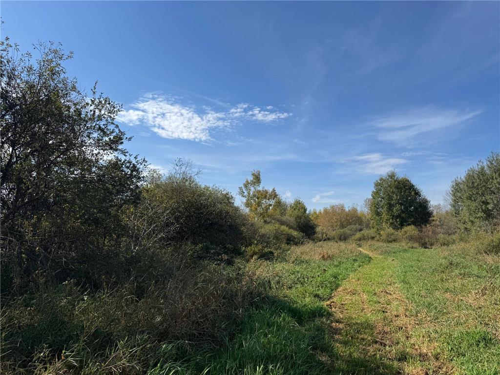 0000 460th Lane Palisade MN 56469 6801006 image5