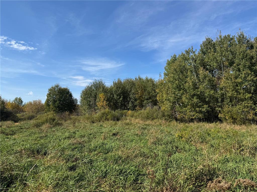 0000 460th Lane Palisade MN 56469 6801006 image9