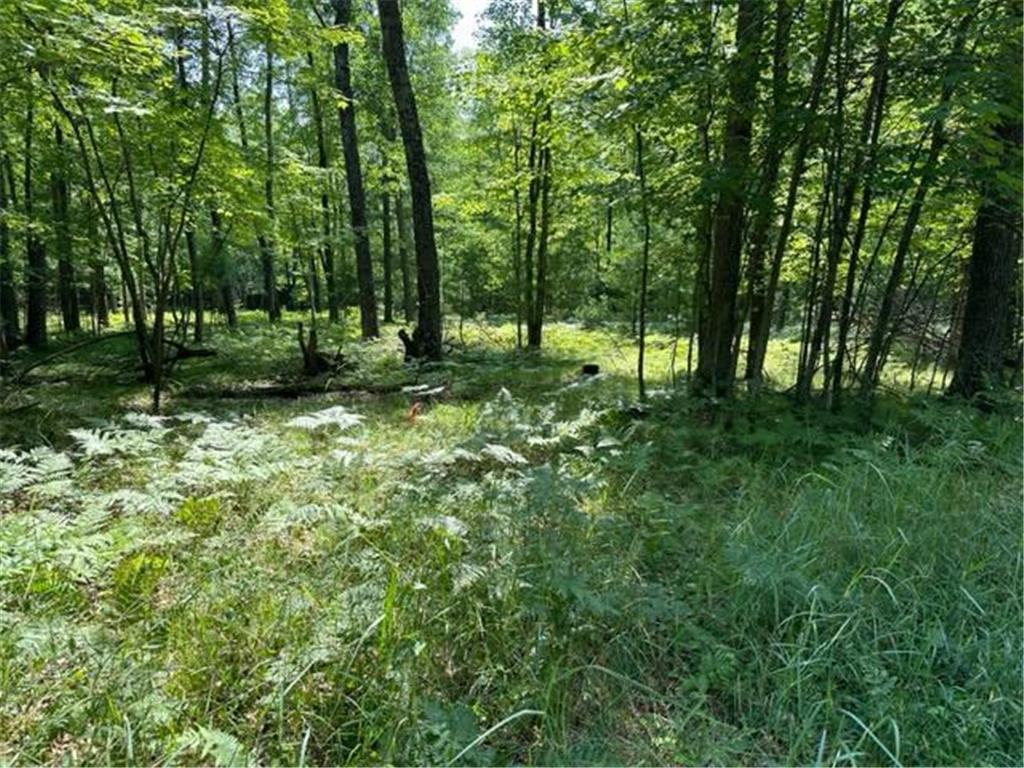 0000 Aspen Terrace Scott Twp WI 54893 6408273 image1