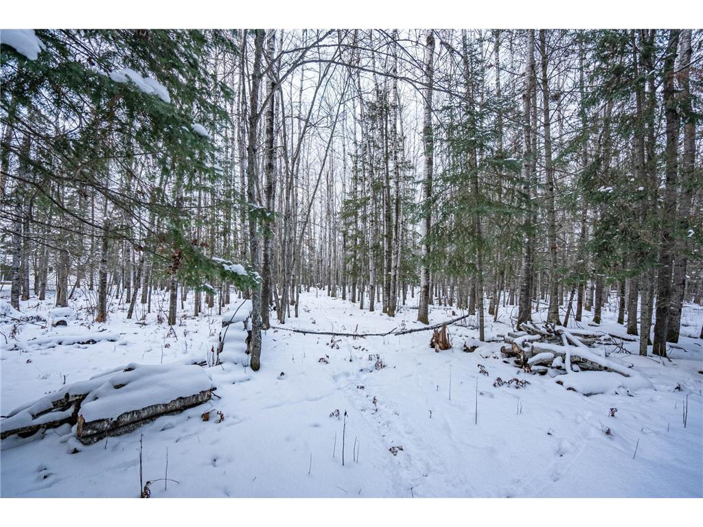 0000 Bass Lake Road Gilbert MN 55741 - Bass Lake 6820596 image24