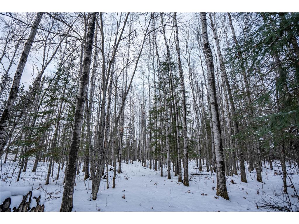 0000 Bass Lake Road Gilbert MN 55741 - Bass Lake 6820596 image27