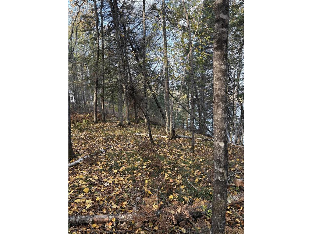 0000 Bass Lake Road Gilbert MN 55741 - Bass Lake 6820596 image32