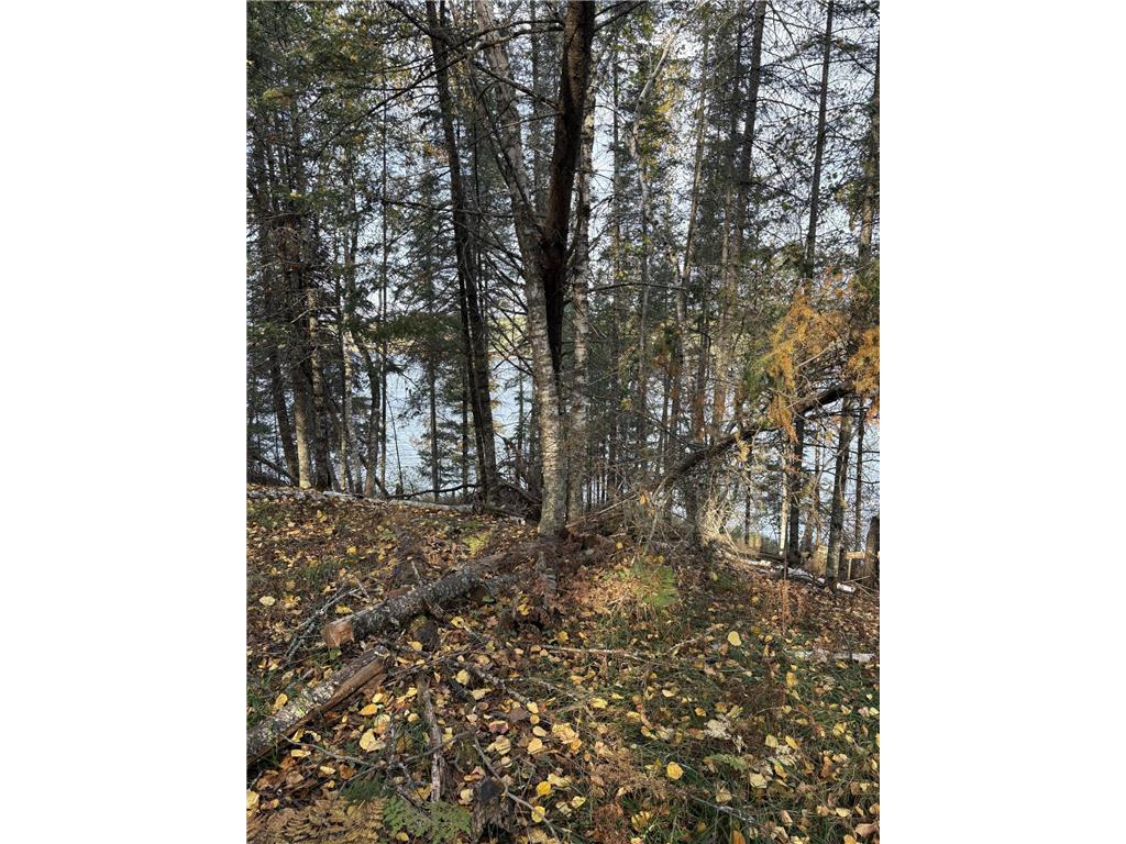 0000 Bass Lake Road Gilbert MN 55741 - Bass Lake 6820596 image33