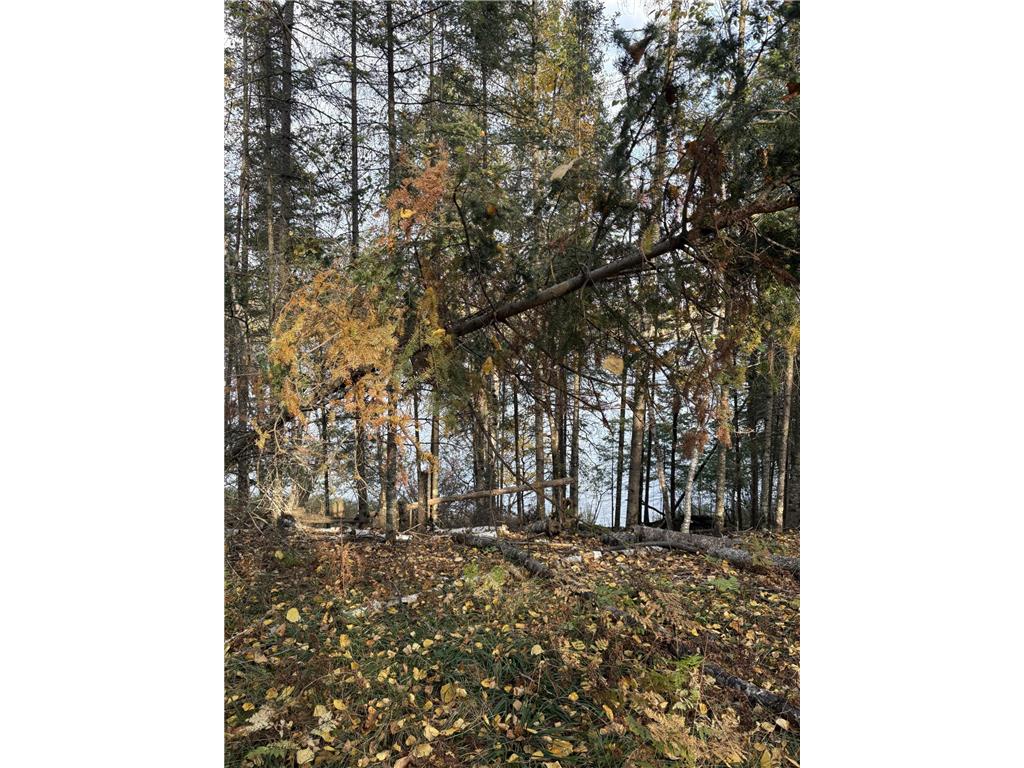 0000 Bass Lake Road Gilbert MN 55741 - Bass Lake 6820596 image34