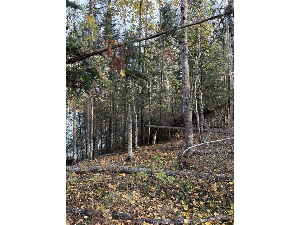 0000 Bass Lake Road Gilbert MN 55741 - Bass Lake 6820596 image35