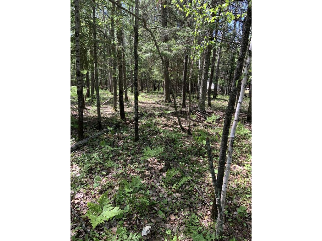 0000 Bass Lake Road Gilbert MN 55741 - Bass Lake 6820596 image36