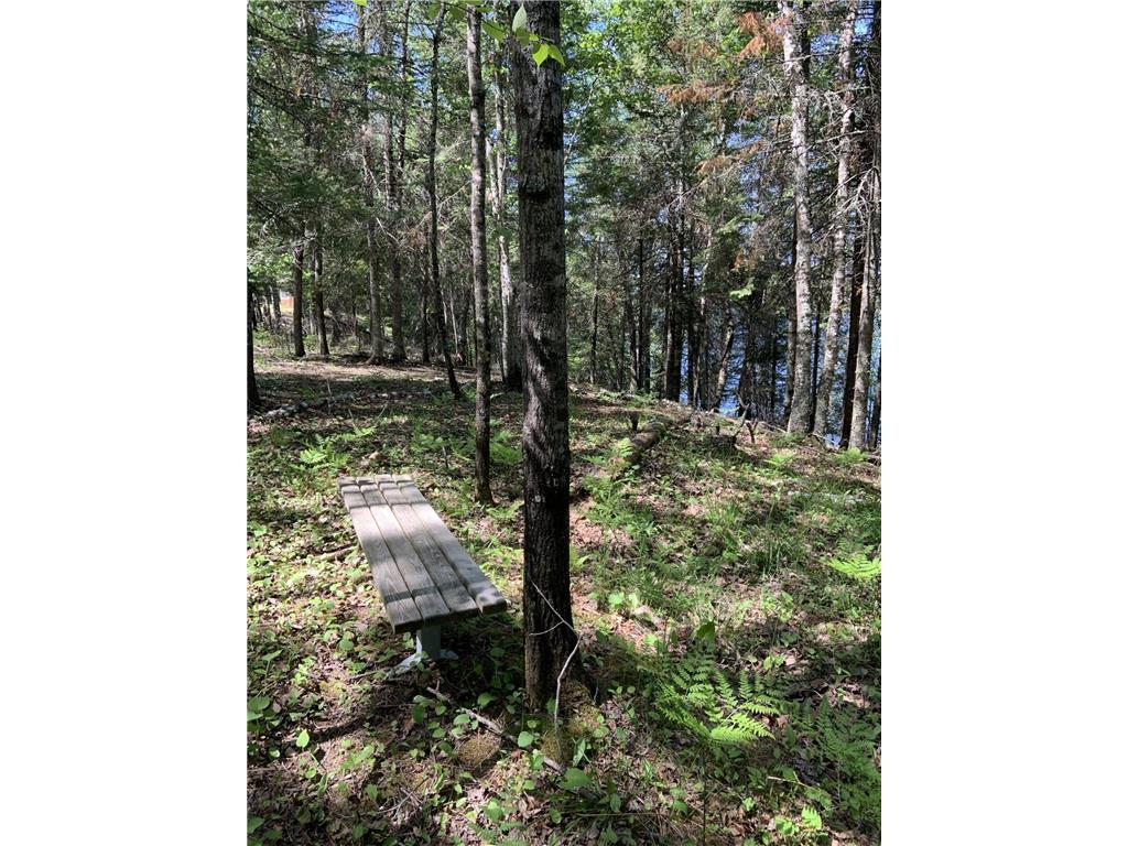 0000 Bass Lake Road Gilbert MN 55741 - Bass Lake 6820596 image37