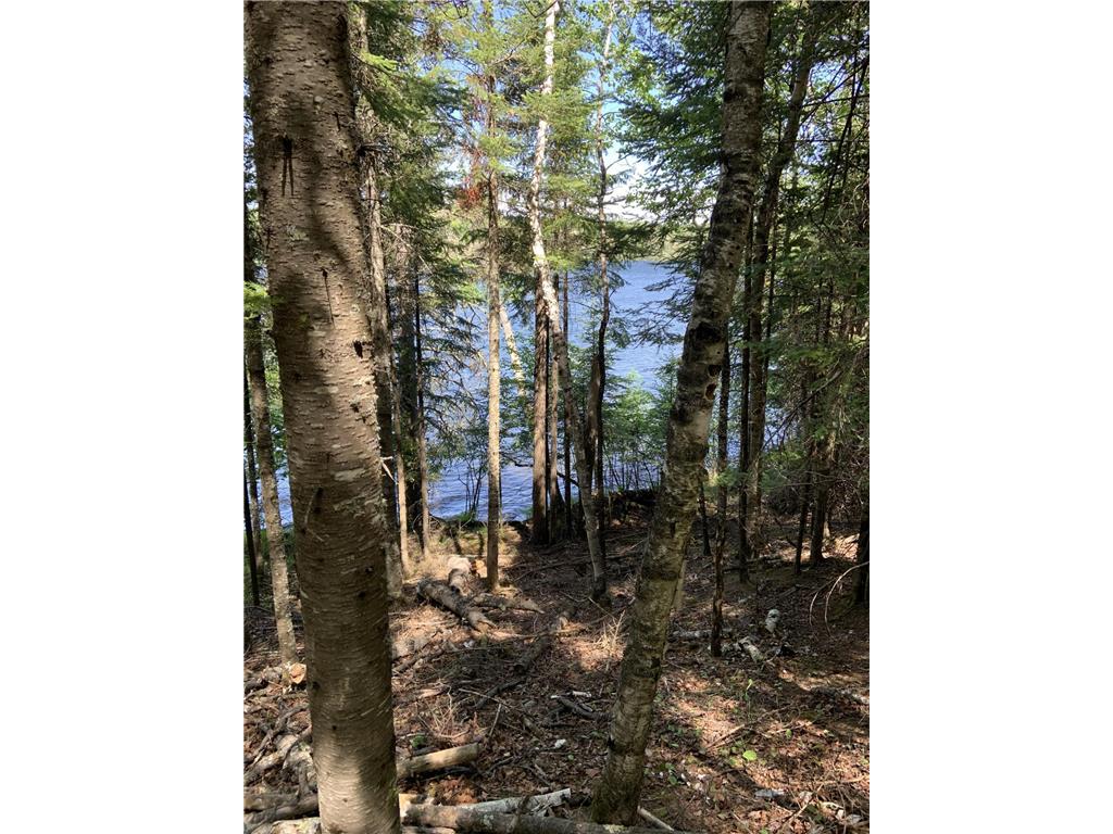 0000 Bass Lake Road Gilbert MN 55741 - Bass Lake 6820596 image38