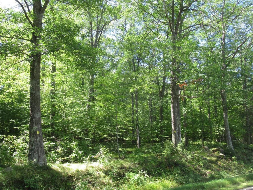 0000 Brilla Road Mason WI 54856 6434261 image1