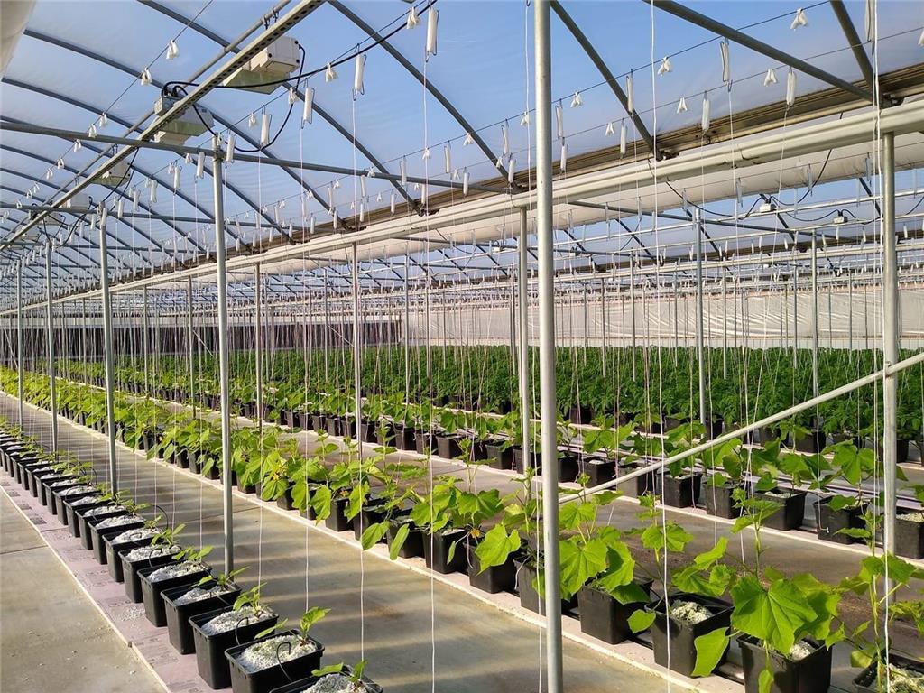 0000 Cabin Dr Royalton Twp MN 55030 6378731 image1