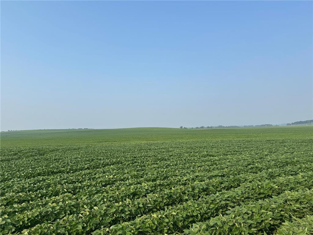 0000 County 61 Browerville MN 56438 6695817 image10