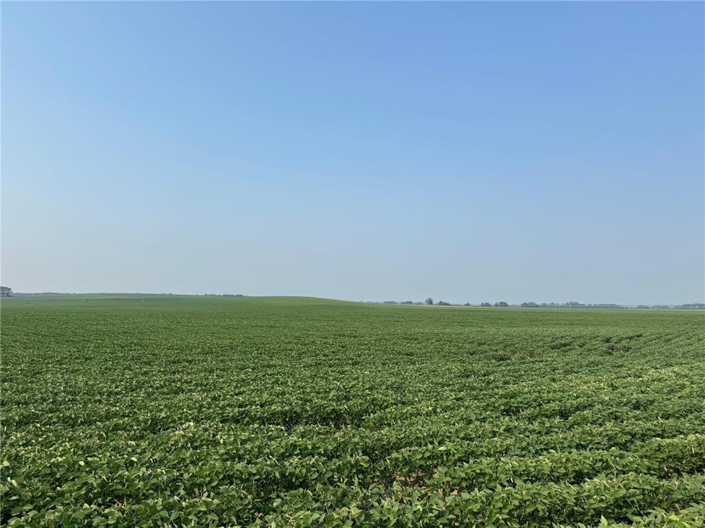 0000 County 61 Browerville MN 56438 6695817 image11