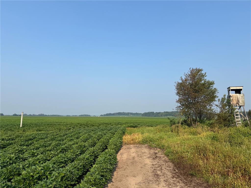 0000 County 61 Browerville MN 56438 6695817 image12