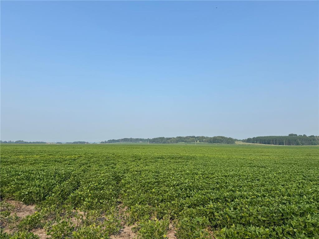 0000 County 61 Browerville MN 56438 6695817 image13