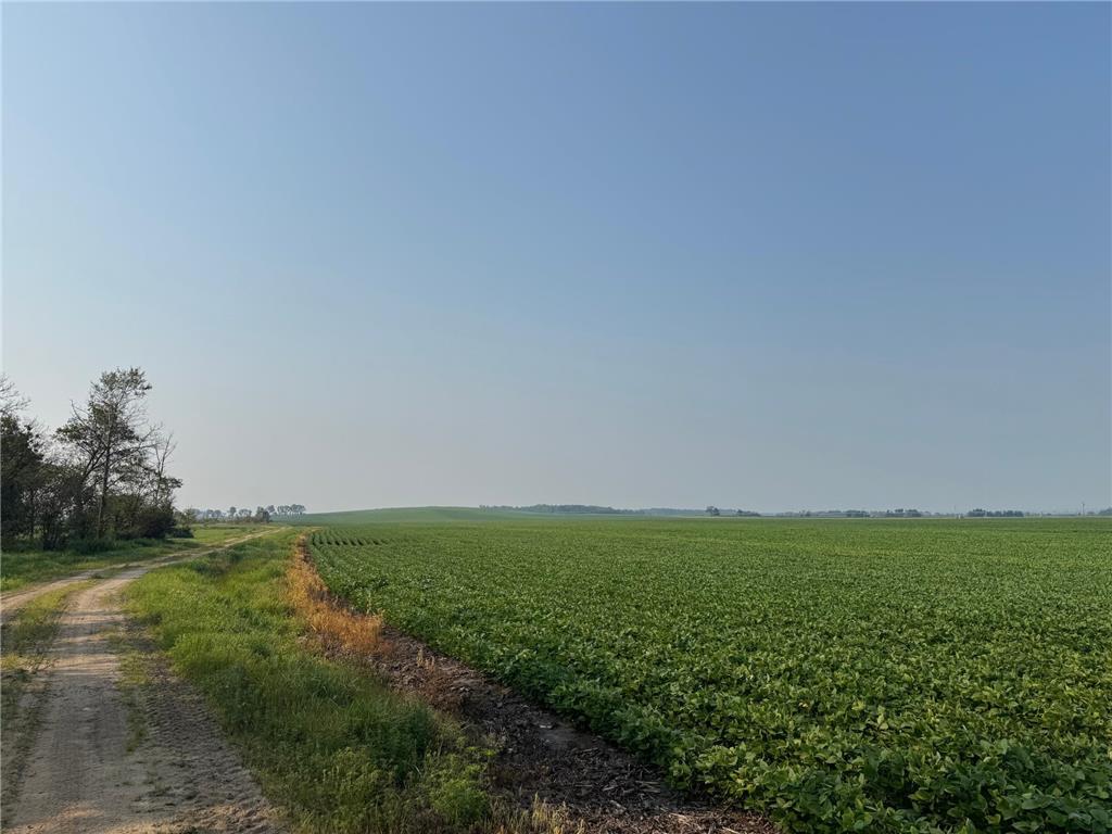 0000 County 61 Browerville MN 56438 6695817 image14