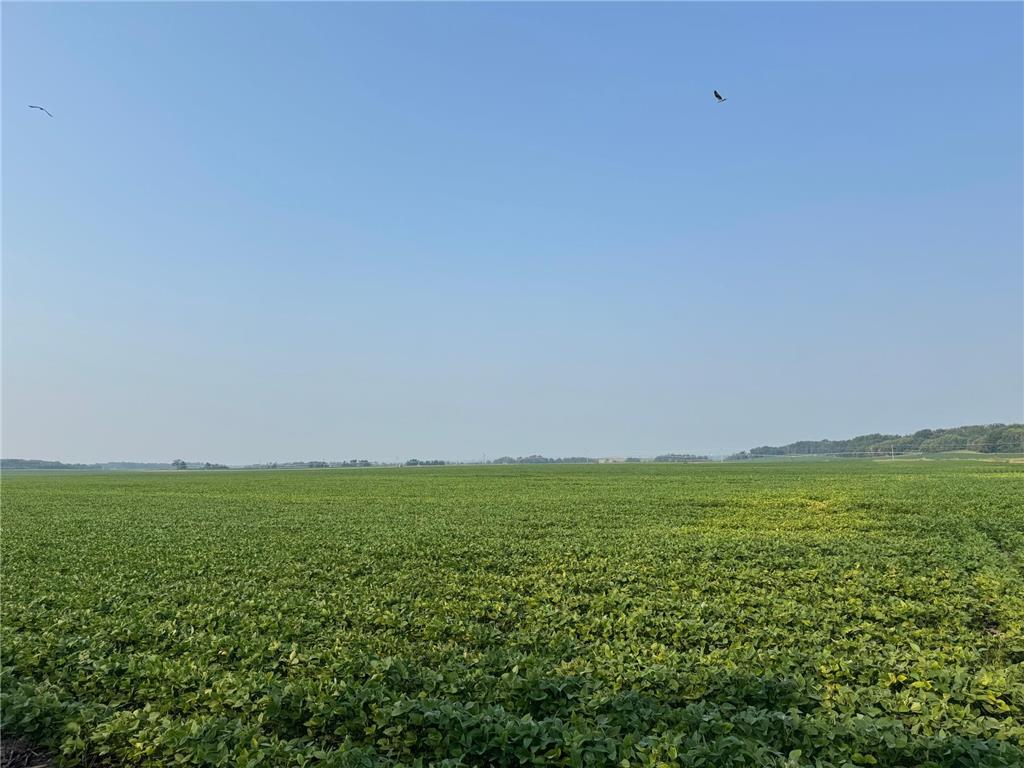 0000 County 61 Browerville MN 56438 6695817 image15