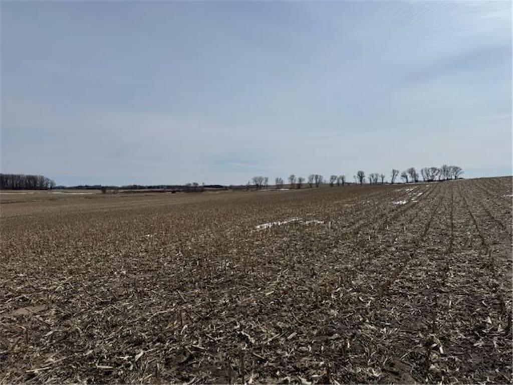 0000 County 61 Browerville MN 56438 6695817 image22