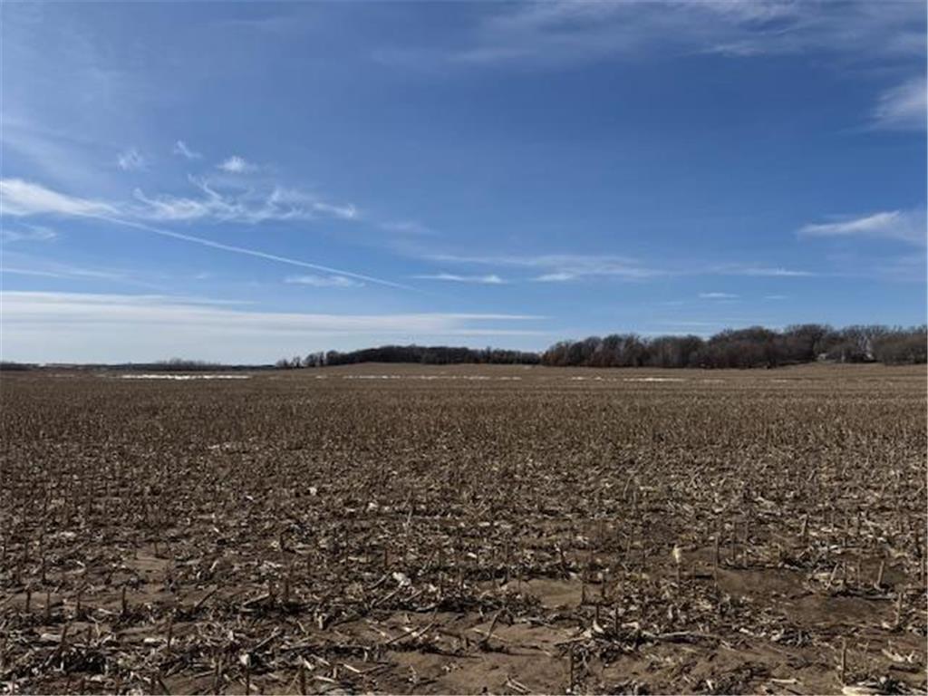 0000 County 61 Browerville MN 56438 6695817 image25