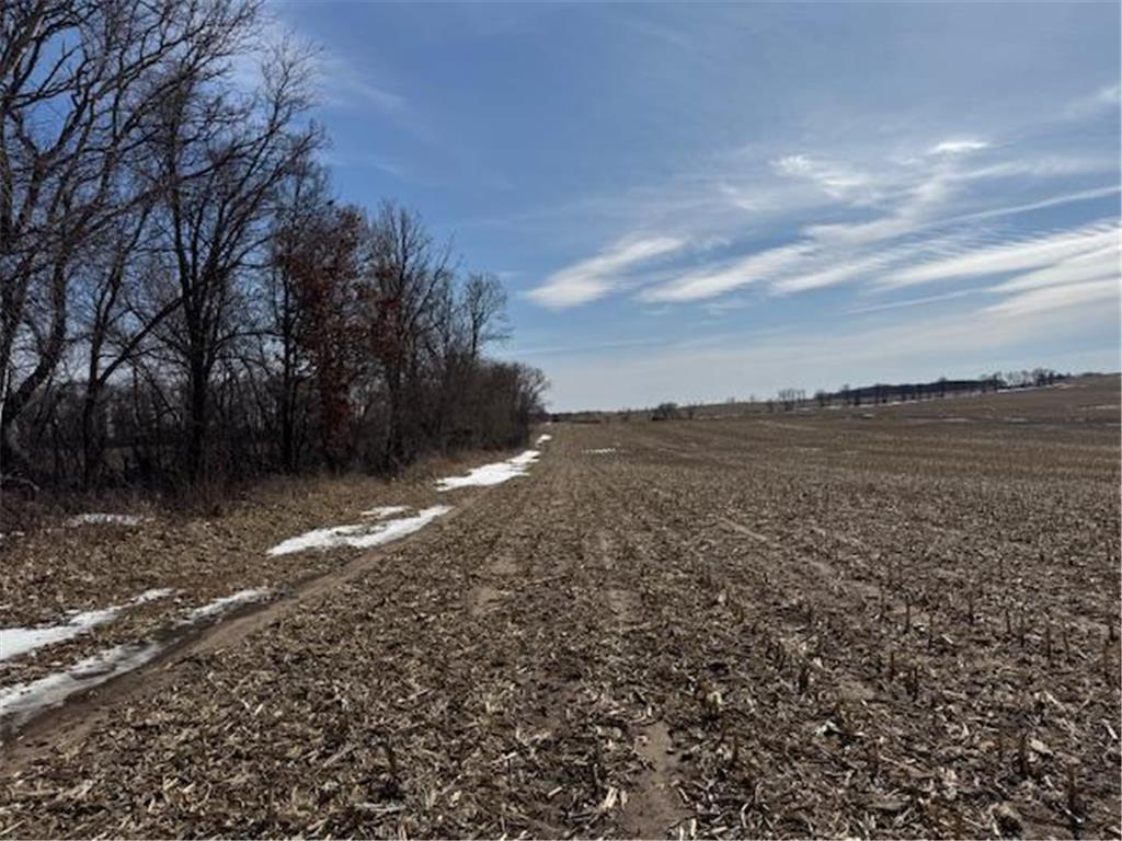 0000 County 61 Browerville MN 56438 6695817 image32