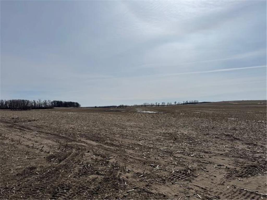 0000 County 61 Browerville MN 56438 6695817 image36