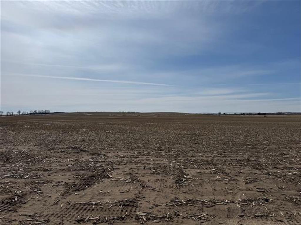 0000 County 61 Browerville MN 56438 6695817 image37