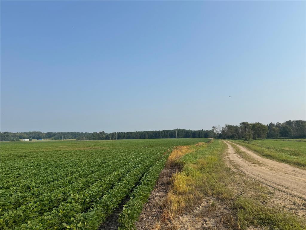 0000 County 61 Browerville MN 56438 6695817 image8