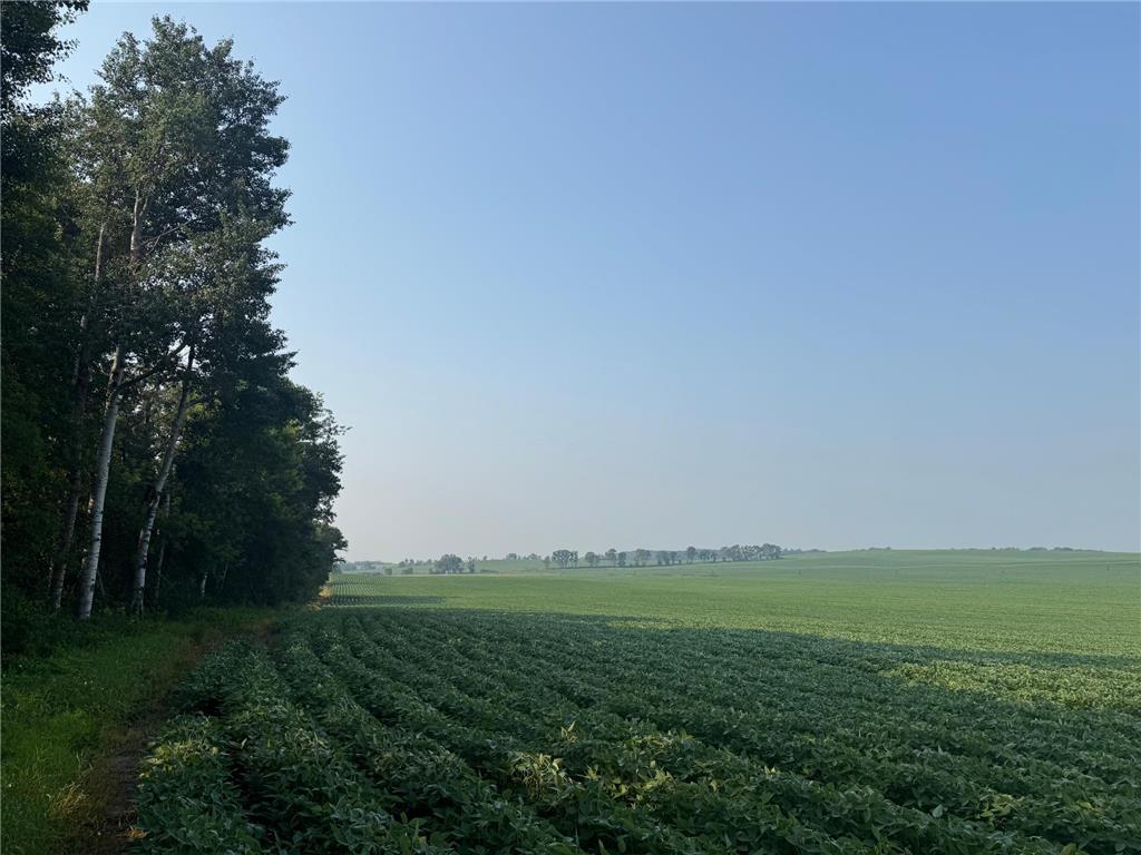 0000 County 61 Browerville MN 56438 6695817 image9