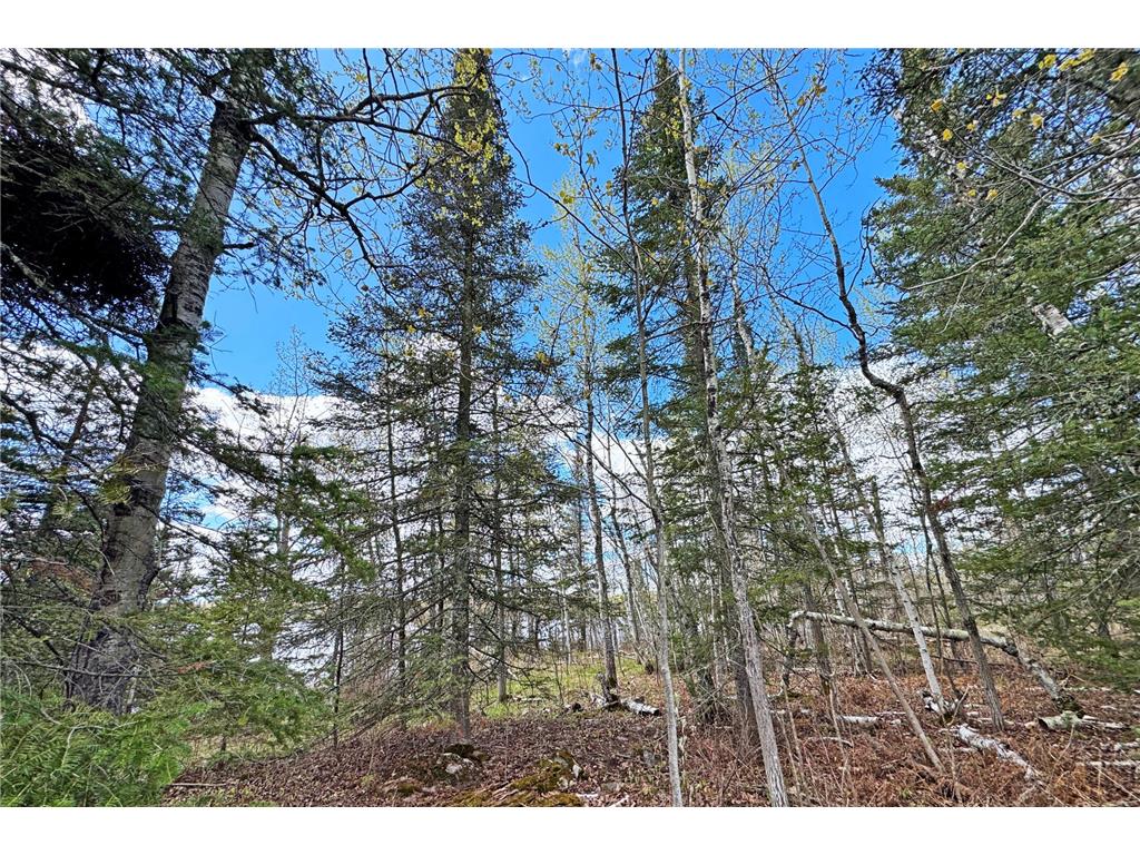 0000 County Highway 77 Greenwood Twp MN 55790 - Vermilion 7082273 image26