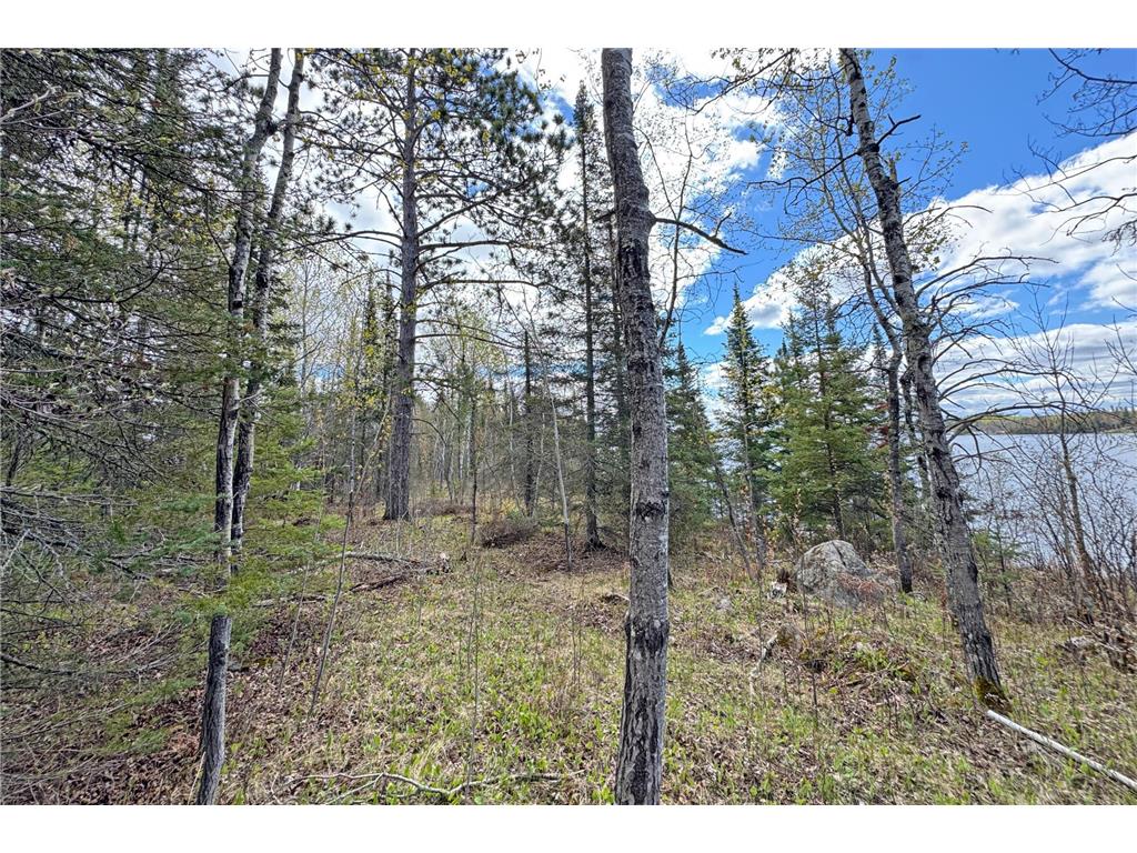 0000 County Highway 77 Greenwood Twp MN 55790 - Vermilion 7082273 image27