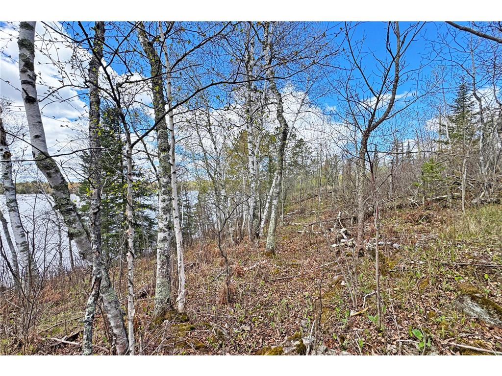 0000 County Highway 77 Greenwood Twp MN 55790 - Vermilion 7082273 image30