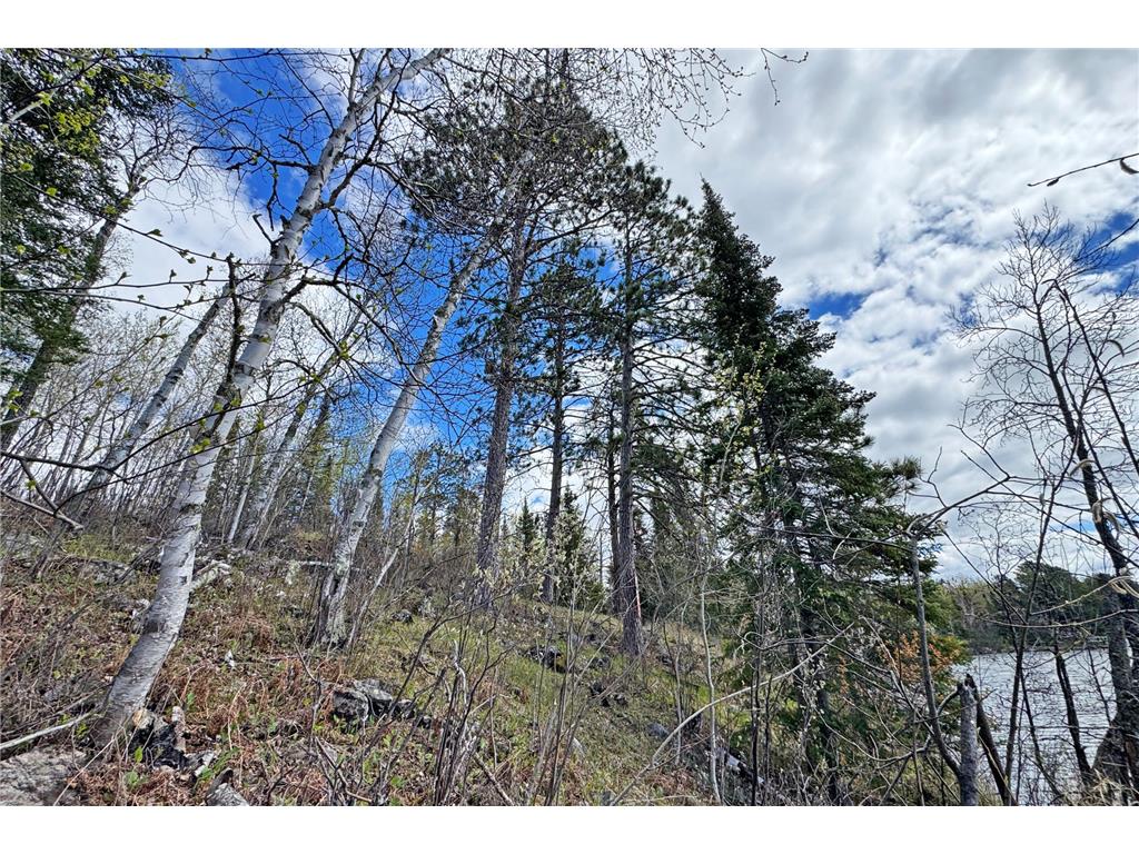 0000 County Highway 77 Greenwood Twp MN 55790 - Vermilion 7082273 image36