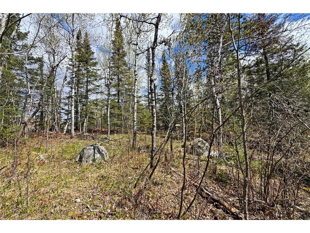 0000 County Highway 77 Greenwood Twp MN 55790 - Vermilion 7082273 image43
