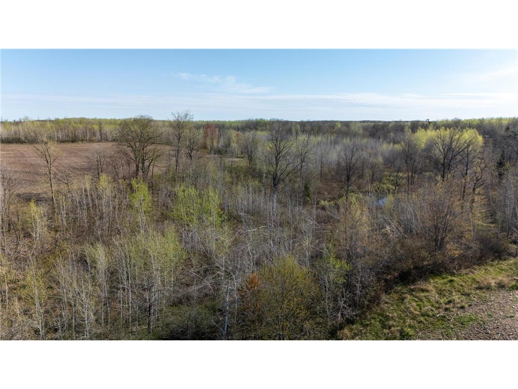 0000 Crooked Lake Rd Danforth Twp MN 55072 6722930 image1
