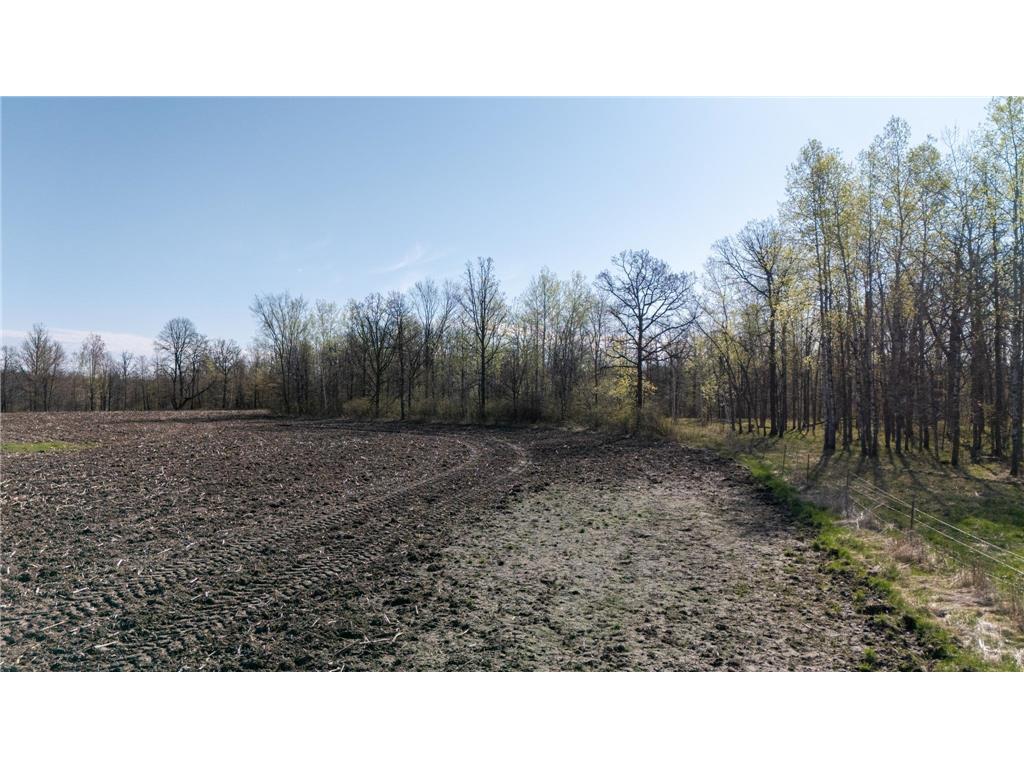 0000 Crooked Lake Rd Danforth Twp MN 55072 6722930 image10