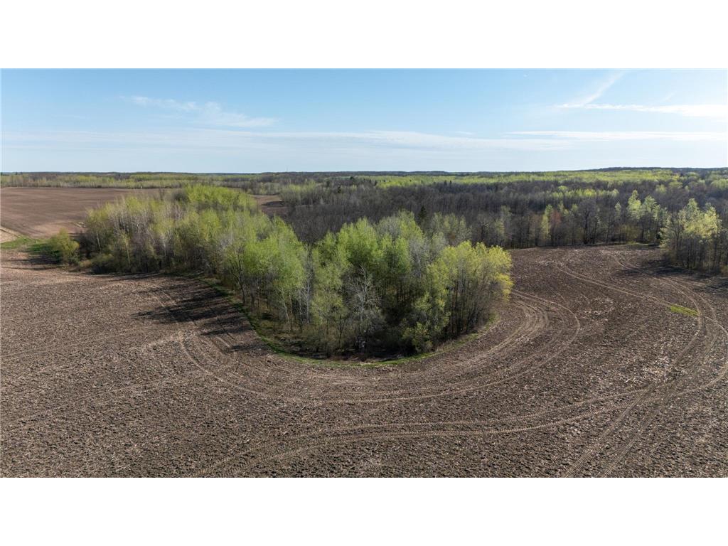 0000 Crooked Lake Rd Danforth Twp MN 55072 6722930 image11