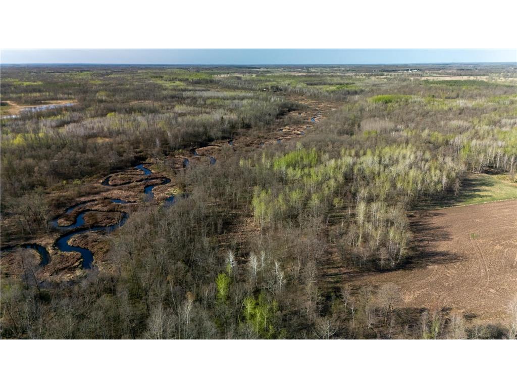 0000 Crooked Lake Rd Danforth Twp MN 55072 6722930 image14